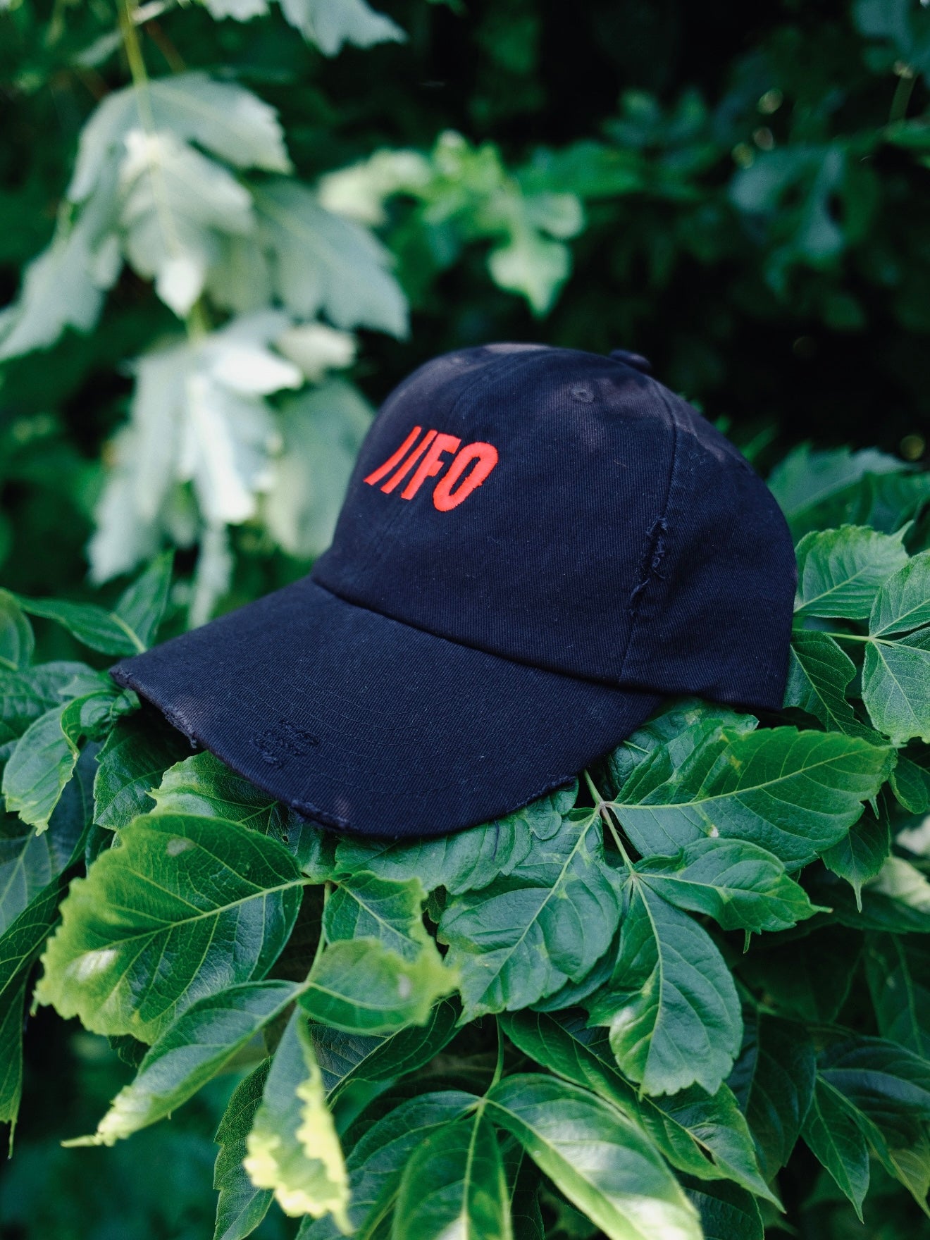 Field Cap 1