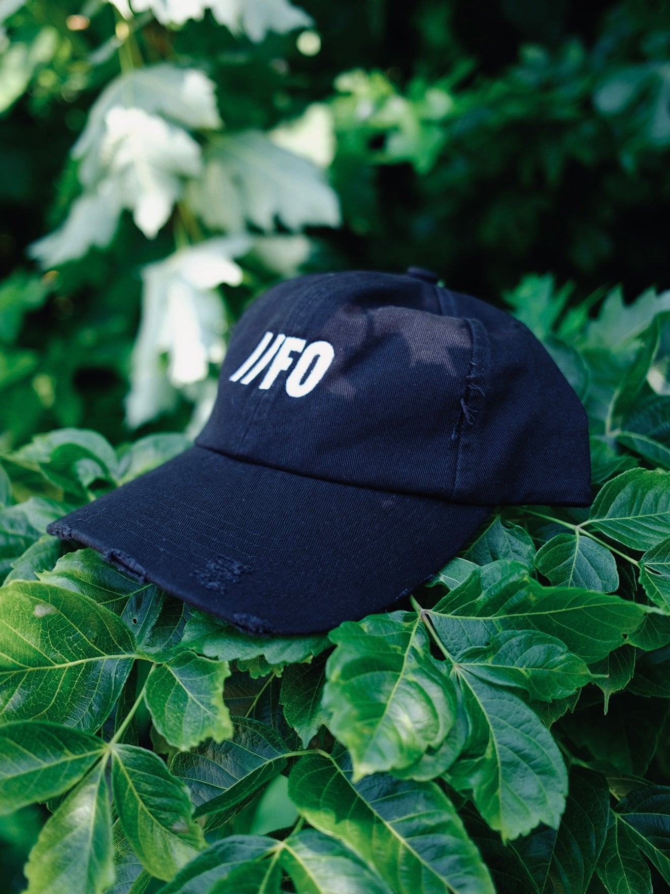 Field Cap 1
