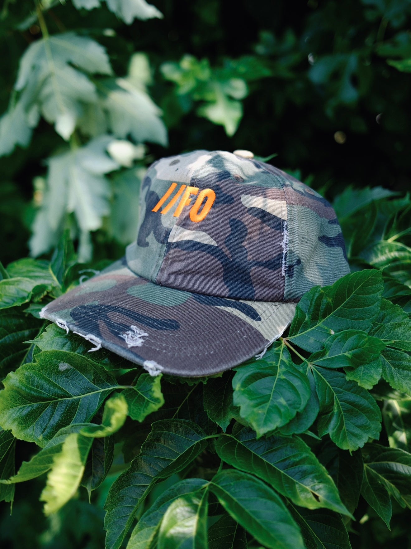 Field Cap 1