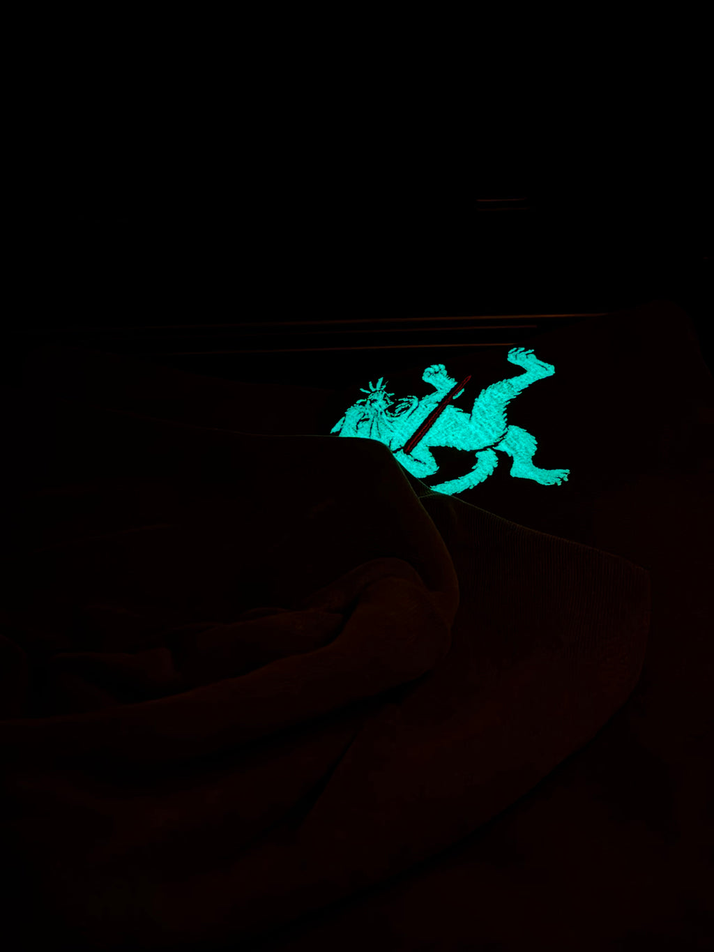 Glow cat heavyweight hoodie