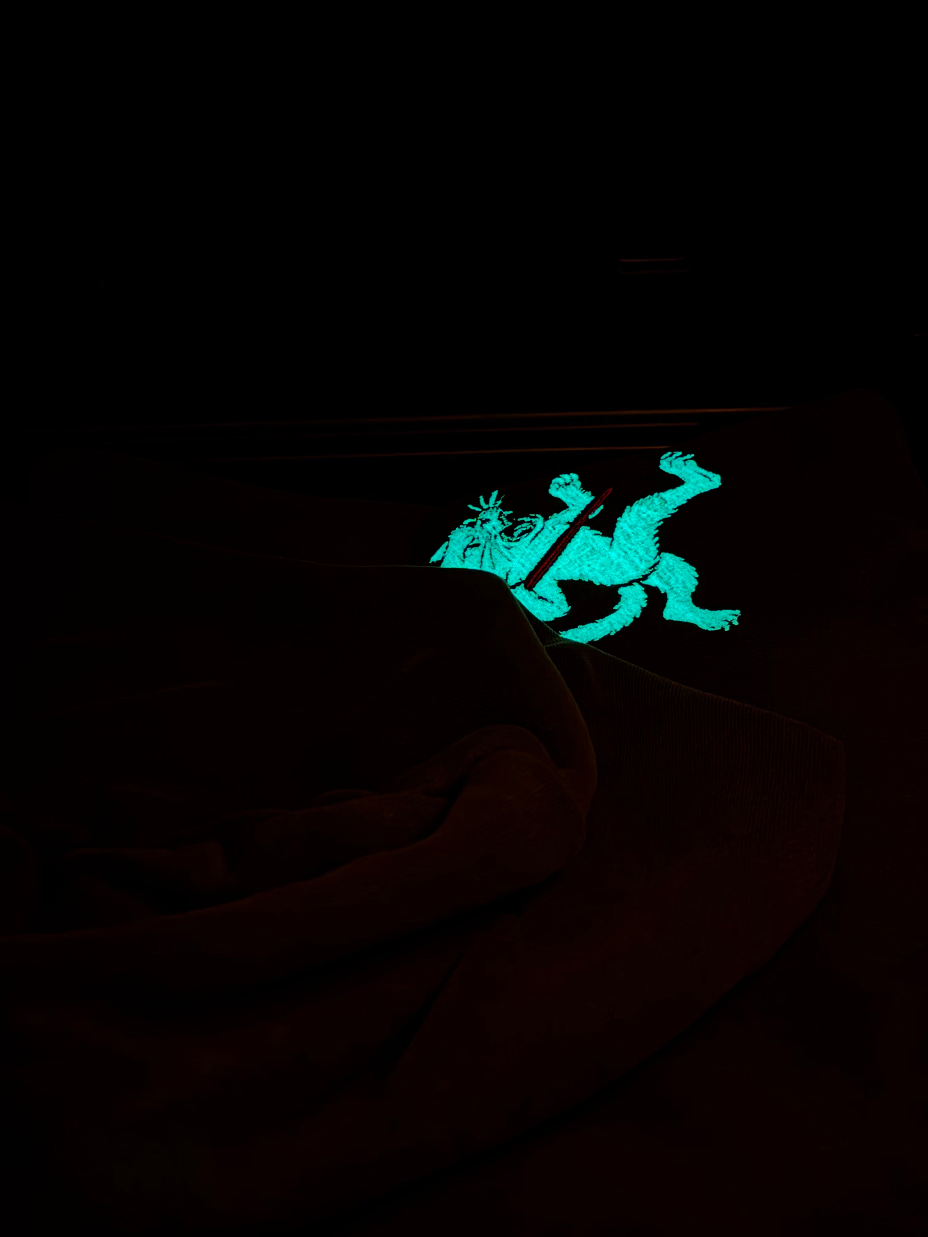 Glow cat heavyweight hoodie